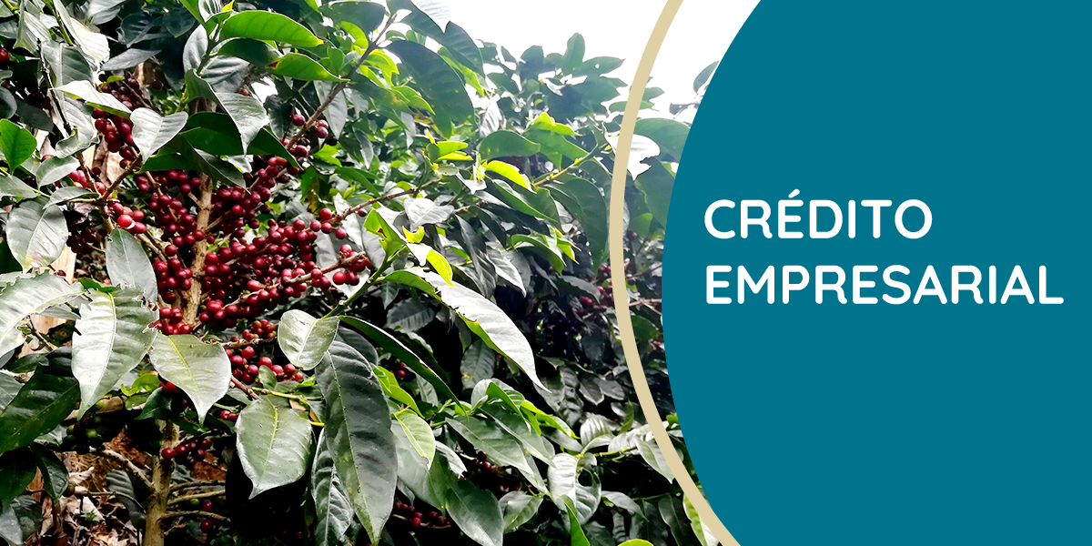 credito empresarial
